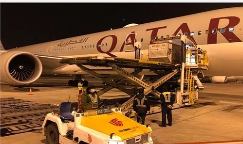 卡塔爾航空恢復(fù)中國六大航點腹艙貨運(yùn)服務(wù)，助力航空物流復(fù)蘇